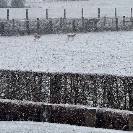 Achouffe - Gueyraude Апартаменты *