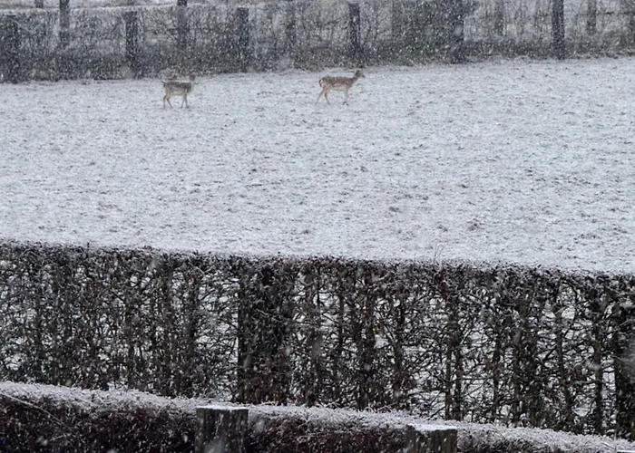 Achouffe - Gueyraude Appartement *